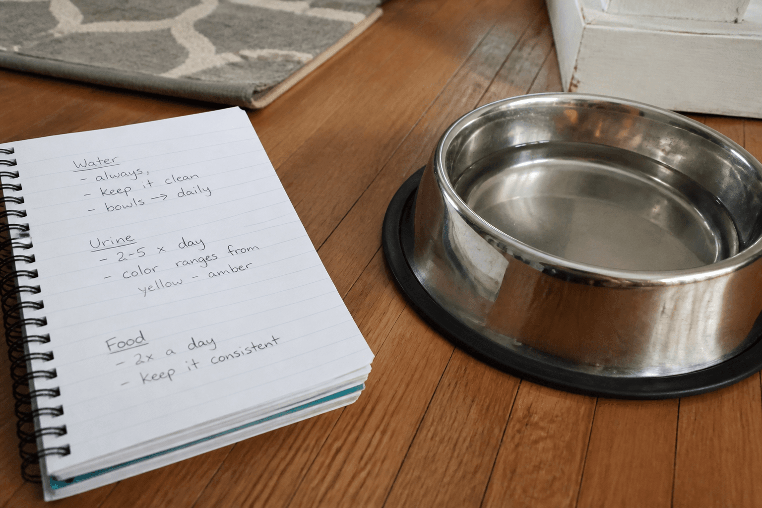 Caderno com registro de água, urina e alimentação ao lado do pote do cão