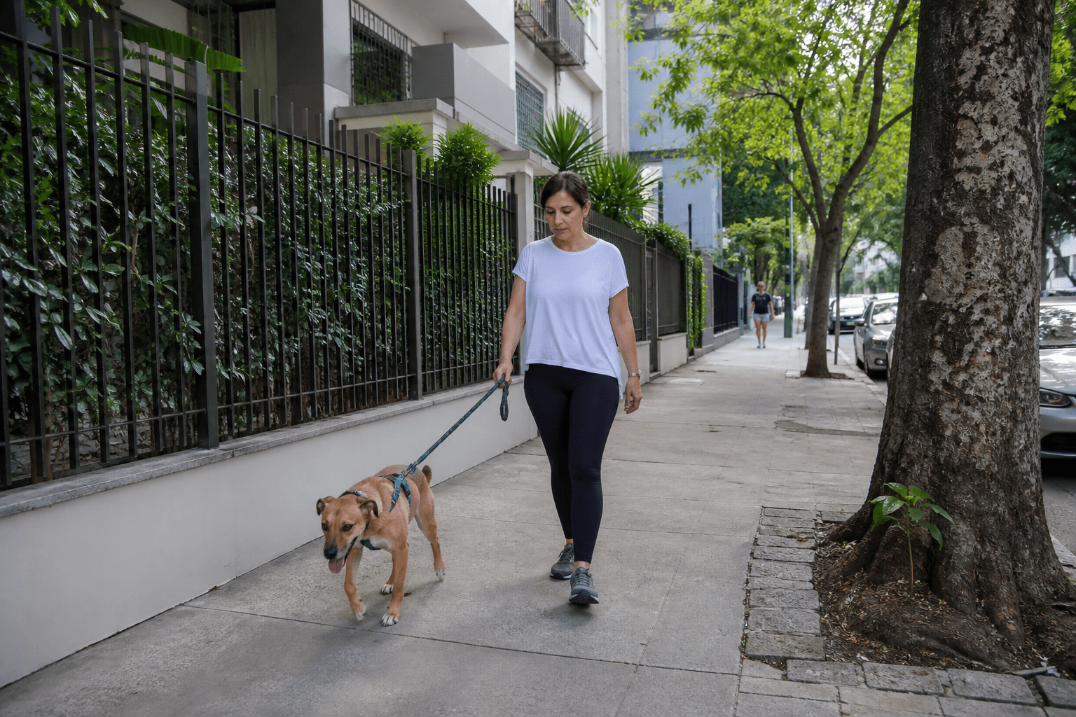 Pessoa passeando com cão na calçada em frente a prédios